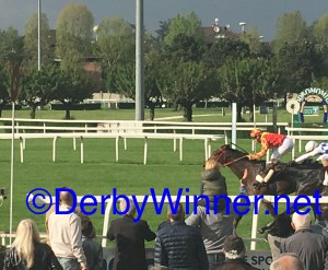 harlem shake certosa 16.2