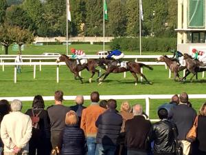 cassina de pomm dormello 2015