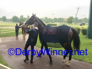 dylan mouth milano 2016.2