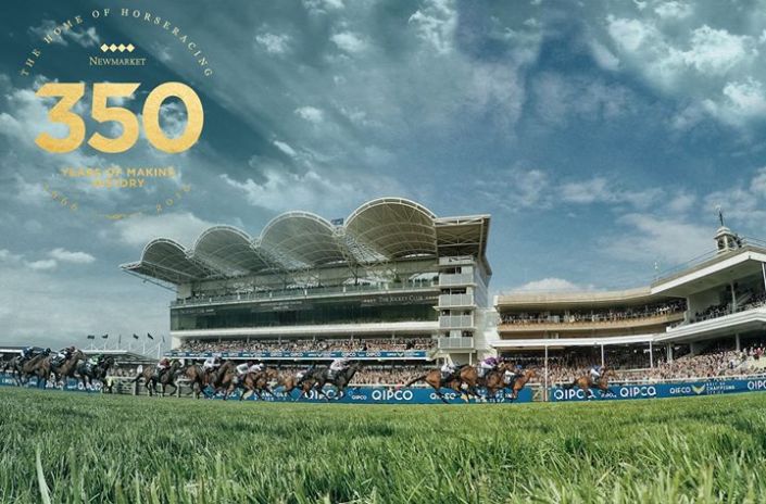 guineas festival 2016