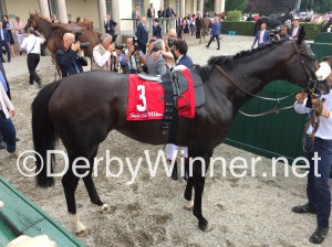 kaspersky vittadini copy