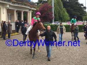 porta nuova poncia 2016