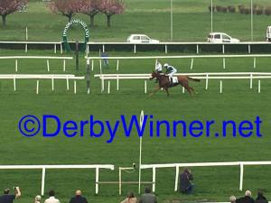 responsibleforlove zanoletti 2016