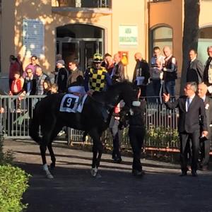 victim of love criterium femminile 2015