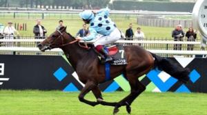 almanzor jockey club 2016