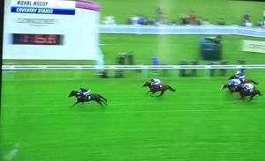 caravaggio coventry 2016