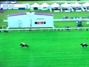 lady aurelia queen mary 2016