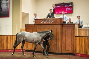 Goffs-UK-lot-448-@-£280k