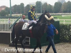 clockwinder diomede 2016