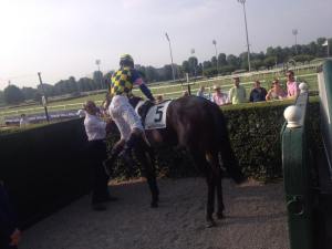 dry your eyes mantovani 2015 branca