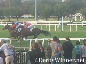 eskimo-point-cancelli-2016