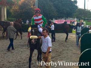 full-drago-demuro-tesio-2016