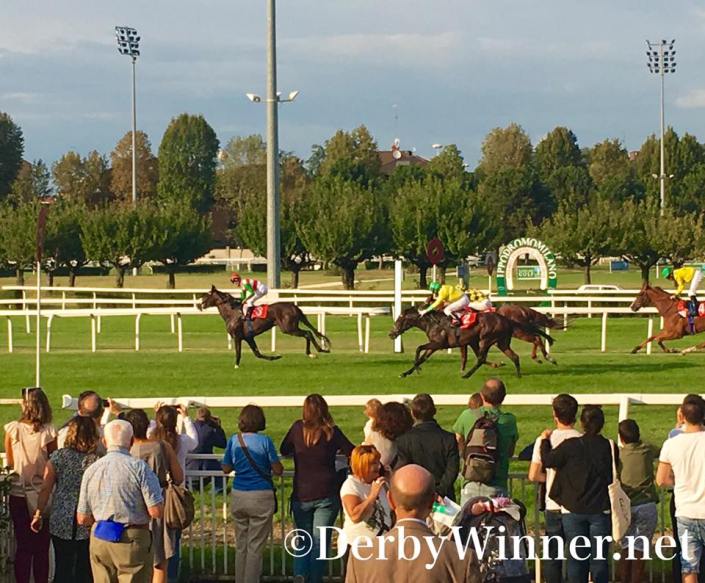 full-drago-tesio-2016