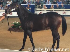 holy-roman-emp-ex-risera