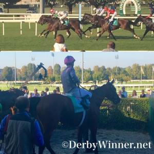 waikika-di-capua-2016