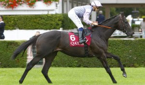 free-port-lux-haras-cercy