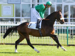 karaktar-haras-de-cercy