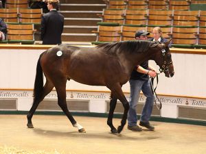 kodiac-tatts-book-3-2016