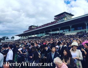 pre-arc-2016-tribuna