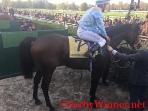 ventura-storm-cristian-demuro-jockey2016