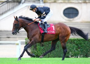 walzertakt-haras-de-la-hetraie