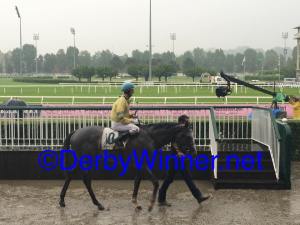 way-to-paris-merano-2016