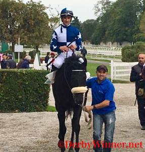 wordless-verziere-branca-2016