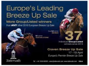 Breeze-Up-Photo-2017