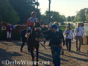 plusquemavie certosa