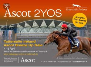tatts ire ascot breeze