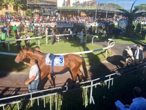 anda muchacho derby 2017