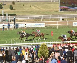 trust you tudini 2017