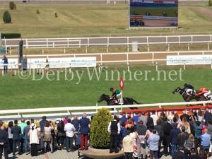 vik the billy perrone 2017