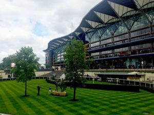 ascot tribuna