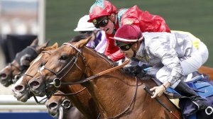 brametot jockey club 2017