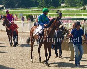 zinia dei grif crespi 2017