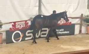 36 sga17 footstepsinthesand