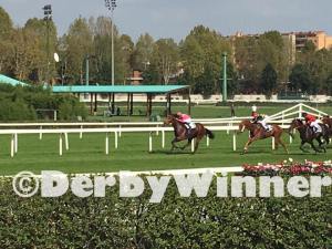 anda muchacho fassati 2017