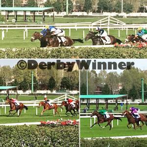 collage sestilio, met spectrum, anda muchacho