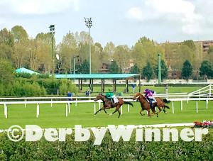 met spectrum riva 2017