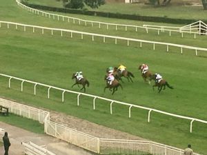 sopran verne cancelli 2017