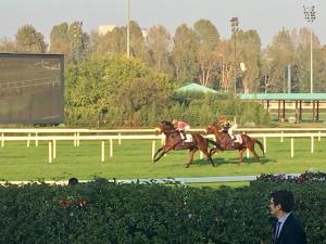 anda muchacho piazzale 2017