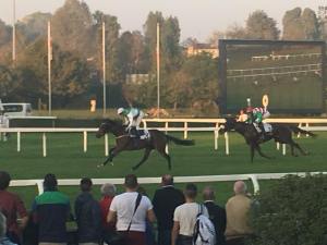 distain verziere 2017