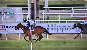 laganore lydia tesio 2017