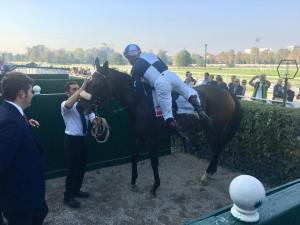 sweet gentle kiss dormello 2017