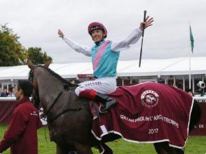 enable arc 2017 dettori