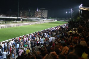 varese 2014 città di