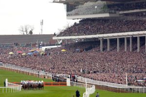 cheltenham racecourse