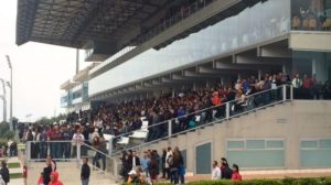 pubblico siracusa festa fragole