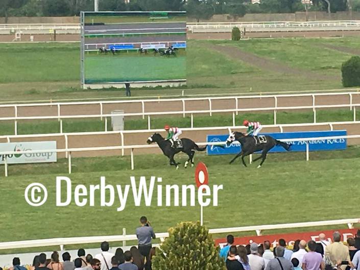 Summer Festival Derby2018